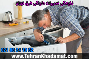 نمایندگی تعمیرات دلونگی شرق تهران
