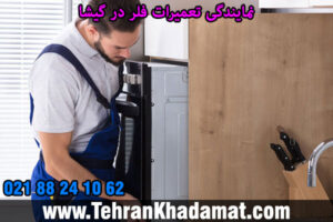 نمایندگی تعمیرات فلر در گیشا