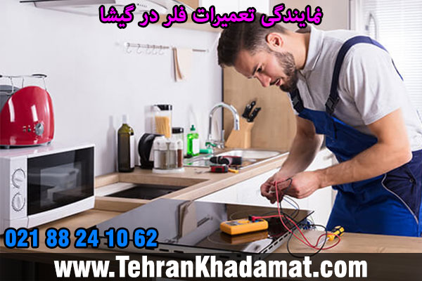 نمایندگی تعمیرات فلر در گیشا