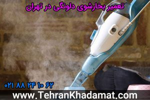 تعمیر بخارشوی دلونگی در تهران