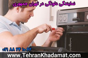 نمایندگی دلونگی در تهران جمهوری