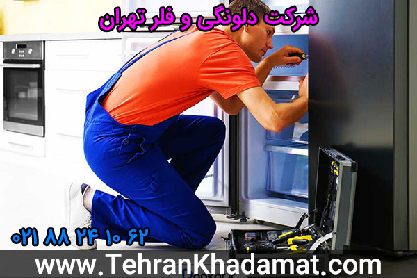 شرکت دلونگی و فلر تهران