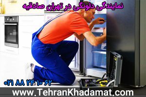 نمایندگی دلونگی در تهران صادقیه